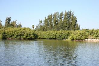 Indian River Lagoon